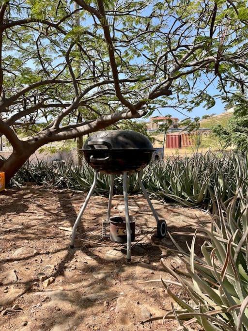 Casa Aloe Vera - Private House W/ Free Breakfast Cidade Velha Buitenkant foto